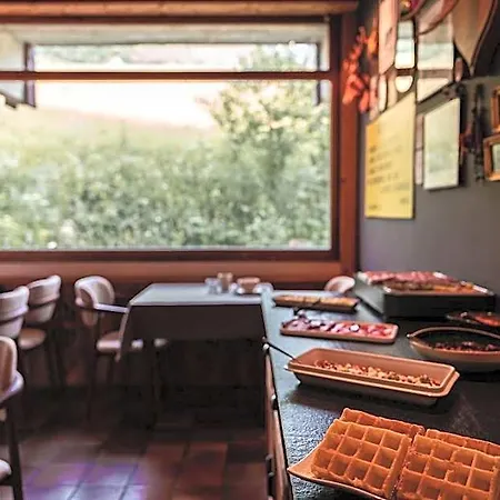 Les Cèdres - Hôtel - Restaurants - Spa-3
